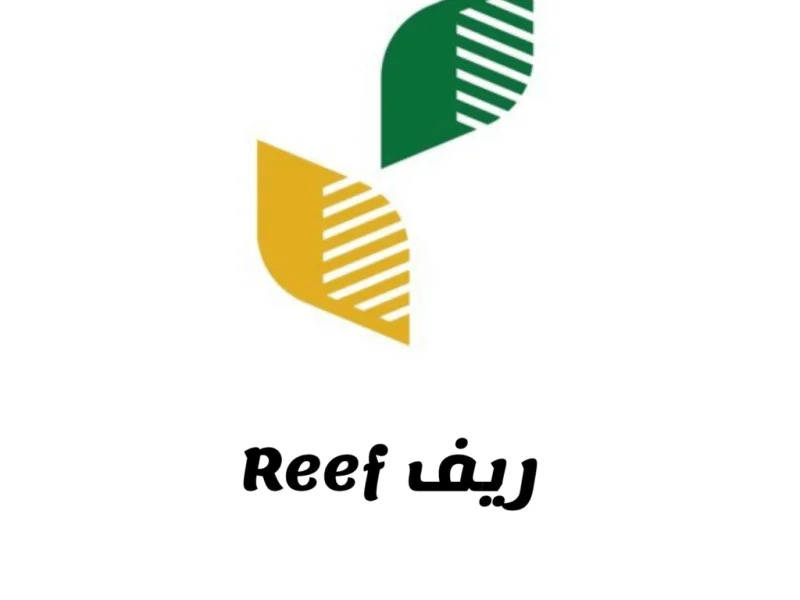 ريف